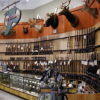 Ten Things You Need to Buy With Your Handgun buying a gun list