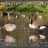 What Is Cognitive Dissonance and What Does it Have to Do With Politics and Gun Safety cognitive dissonance