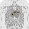 The Physiology of Stopping The Threat Center of Mass