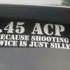 .45 ACP: Because Sometimes Old, Fat, And Slow Works Just Fine 2015-07-03-19.32.21
