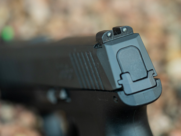 P365 9mm Rear Sight Detail