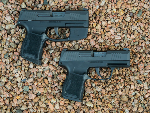 SIG SAUER P365 Field Stripped