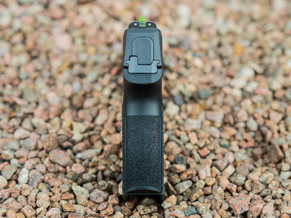 P365 Backstrap Rear View