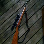 California State Senate Passes Bill Raising the Minimum Age to Buy Long Guns 4330987300_46b776daa0_b