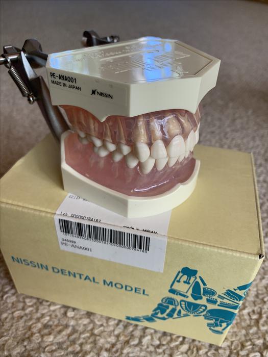 Dental Hygiene Kit Saanich, Victoria MOBILE