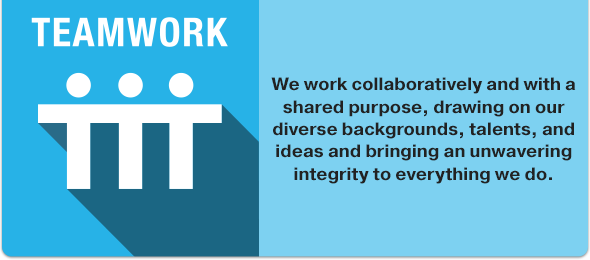 nursing-values-teamwork-600x266.png