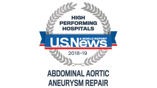 2018 Aortic Repair High Performing