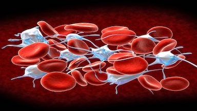 Blood Disorders Clinic