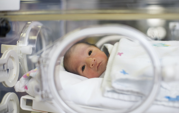 12 Procedures You Need To Decide On For Your Newborn