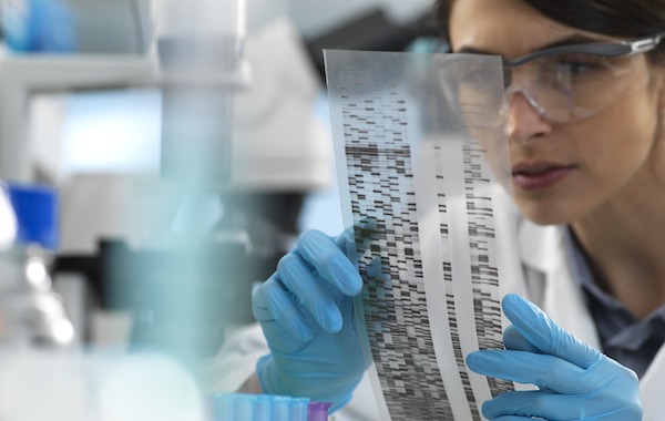 PCR (Polymerase Chain Reaction) Tubes In Clinical Diagnostics PCR (Polymerase Chain Reaction) Tubes In Clinical Diagnostics