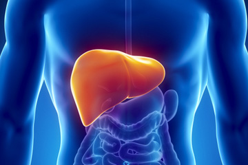 Understanding the different types of liver cancer