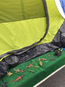 Lizards outside a tent at Tent City 3 in February