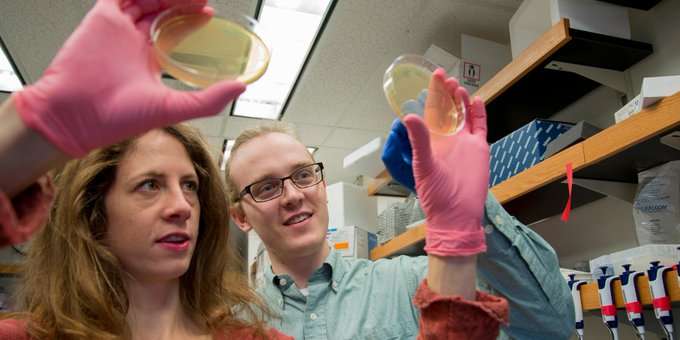 Ingrid Swanson Pultz co-founded PvP Biologics with David Baker, Ph.D., director of the Institute for Protein Design, and Justin Siegel, Ph.D. ’11 (biochemistry).
