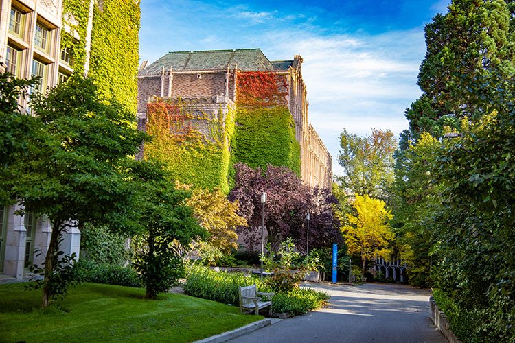 Buildings on campus with ivy