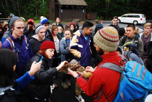 May 2015 Provost Report