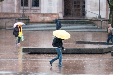 Hard rain comes down on the University of Washington, Seattle campus.