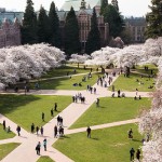 Students Walking in UW Quad