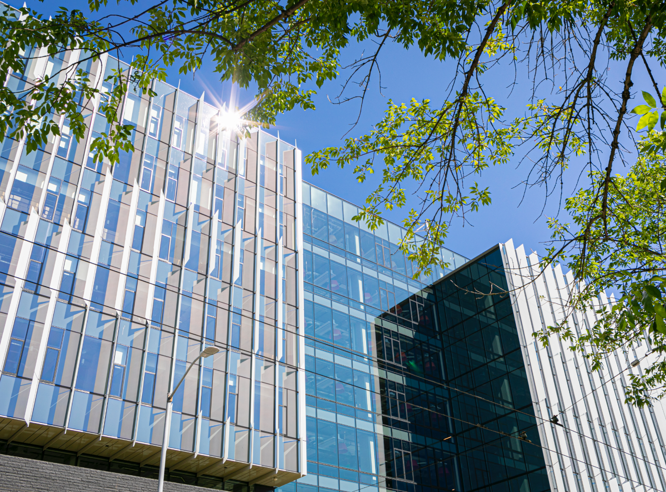 Hans Rosling Center and trees