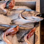 Fish at a market