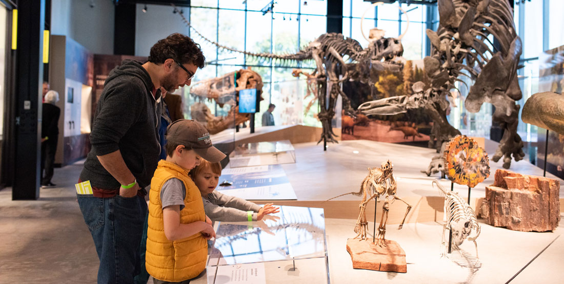 Father and sons look at dinosaur fossils