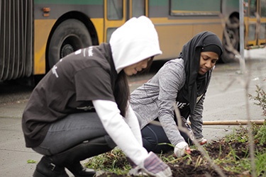 two people gardening