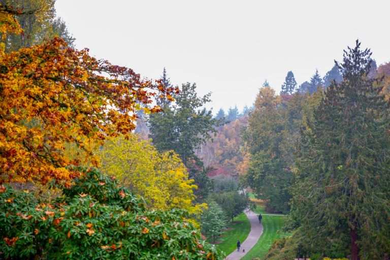 Common application essay 2021 picture