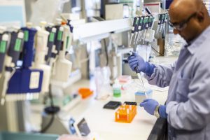 A researcher working in the lab processing tests