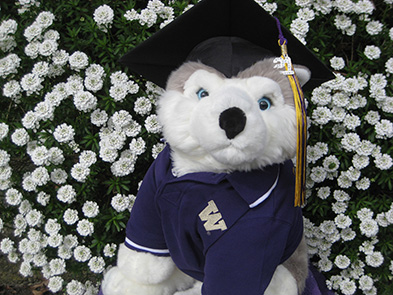 grad dawg in cap