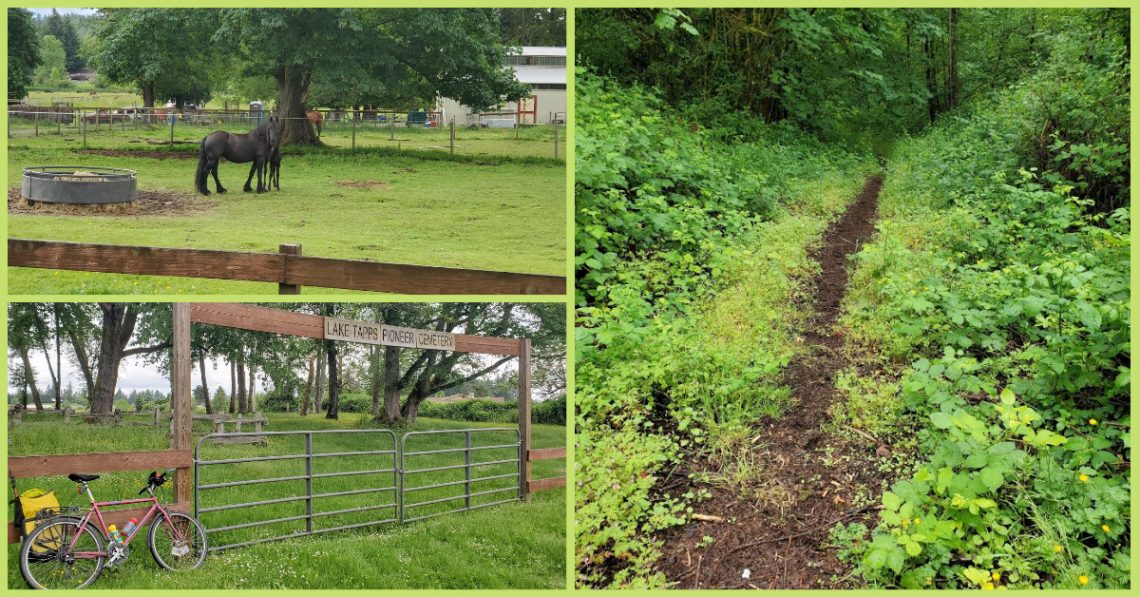 Photos from the cycling loop from Auburn to Enumclaw courtesy of Greg Barnes. They depict horses in a field, a trail leading into the woods, and a bike resting near a sign that reads "Lake Tapps Pioneer Cemetery."