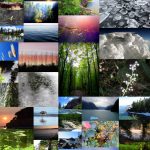 The winning "Intra Mural" Arts Competition photo collage made up of nature photos