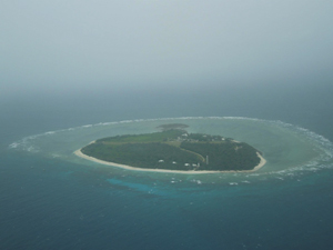 Lady_Elliot_Island