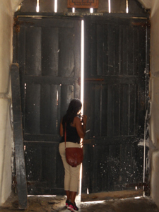 looking through the door