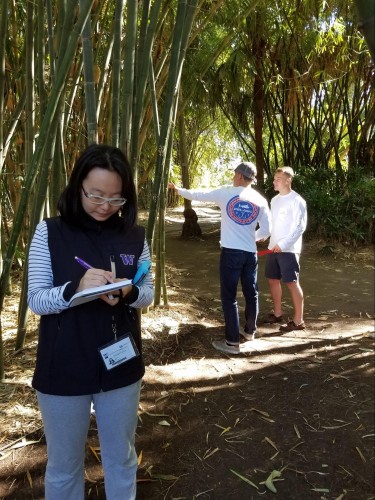 Jinyang Wu (left) takes notes in the City Botanic Gardens with Carter (middle) and Conner (right) behind her.