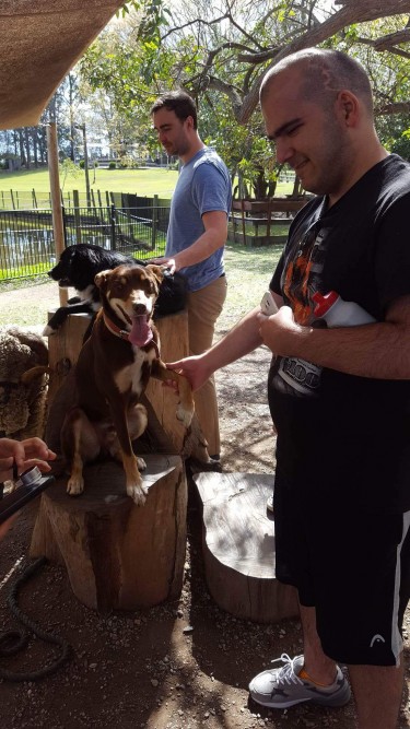 Kevin shakes hands with Dusty - the sheep shearing dog