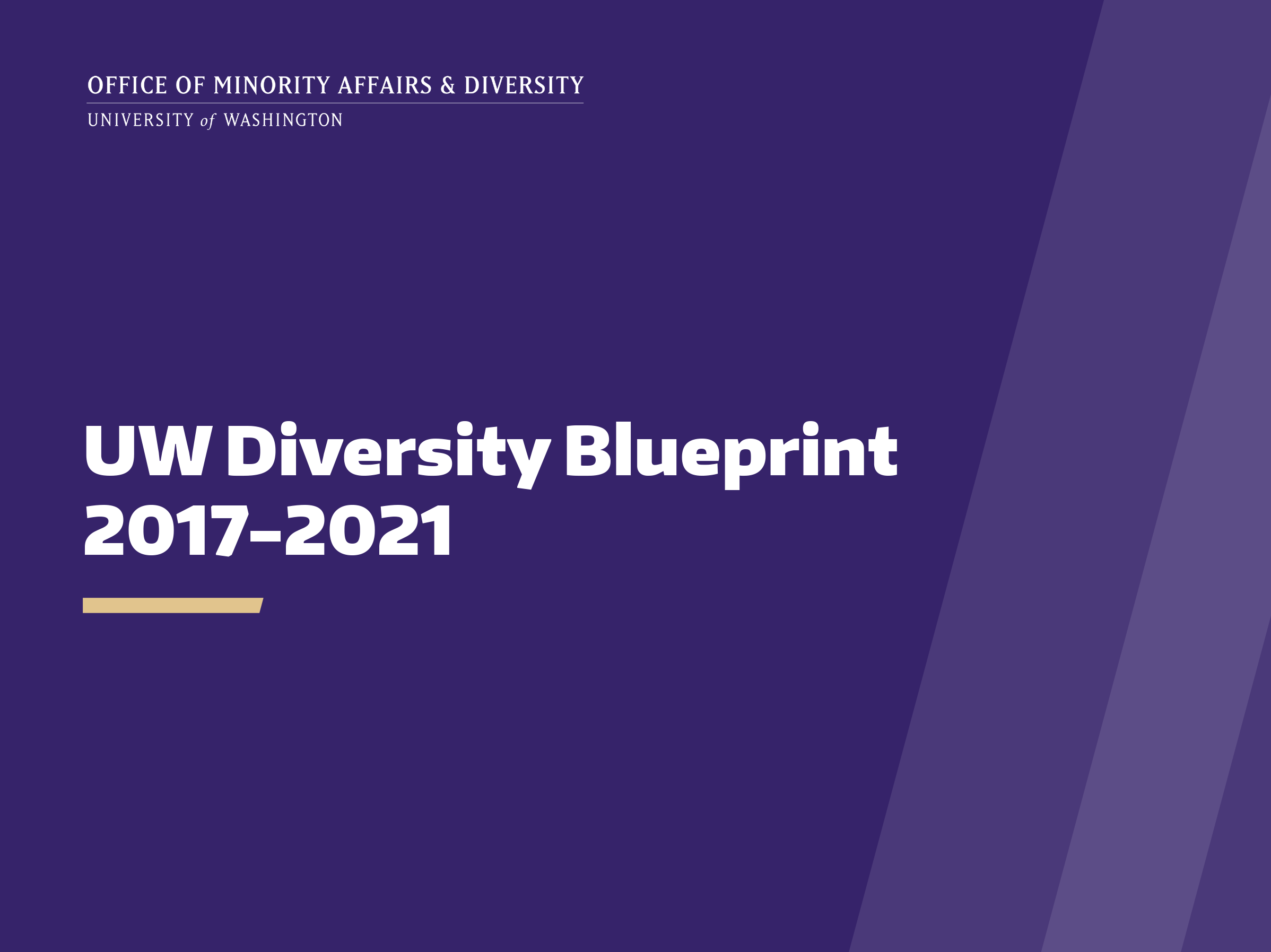 diversity blueprint diversity at