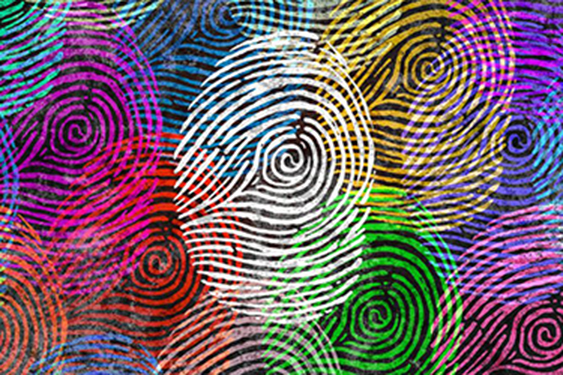 diversity print