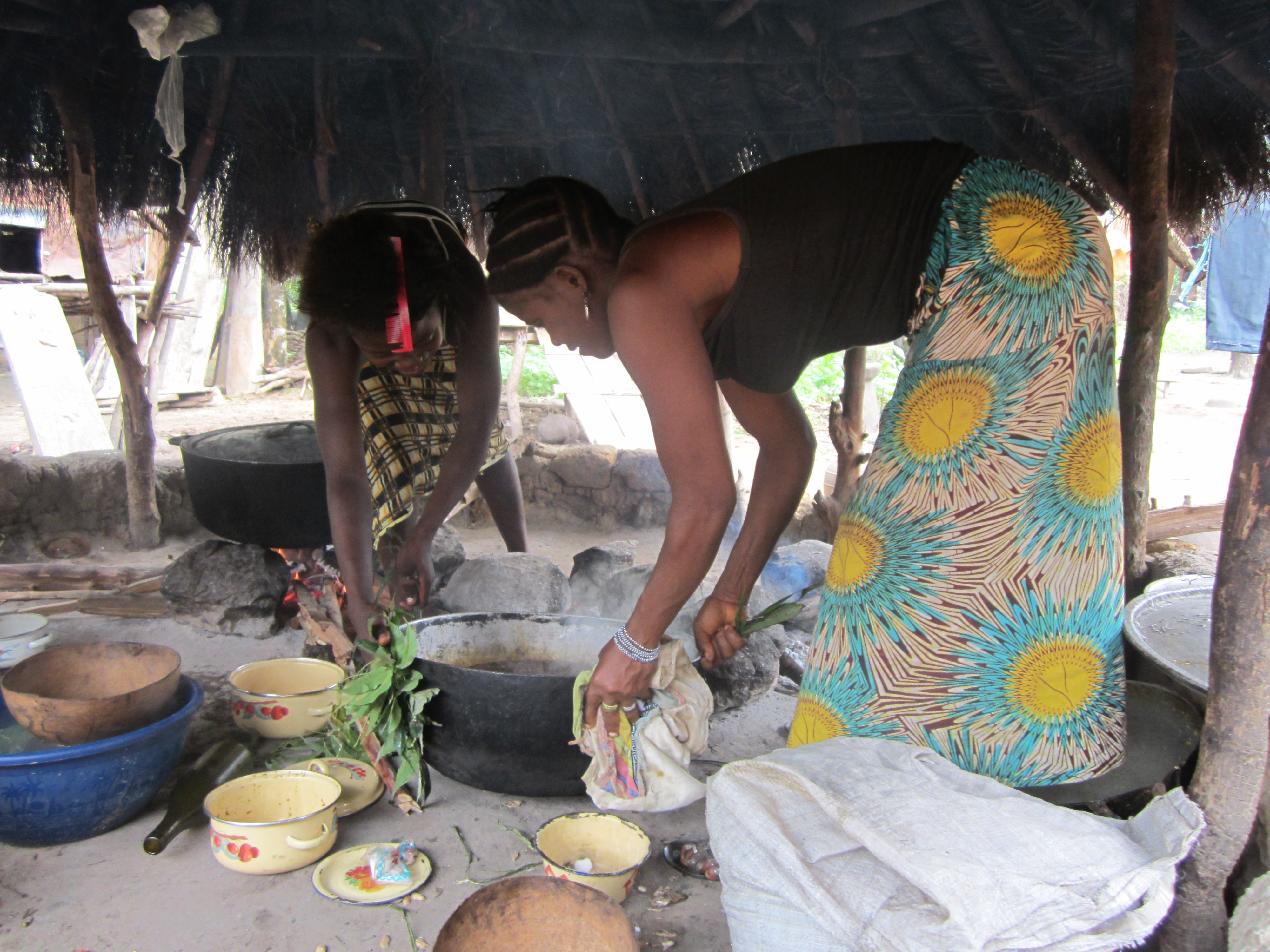 Sierra Leone | Undergraduate Academic Affairs
