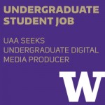 Graphic for undergraduate digital media producer