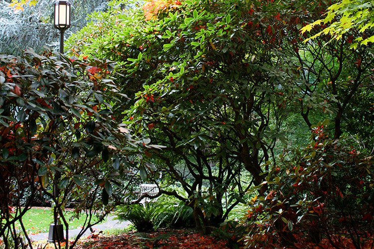 Grieg Garden