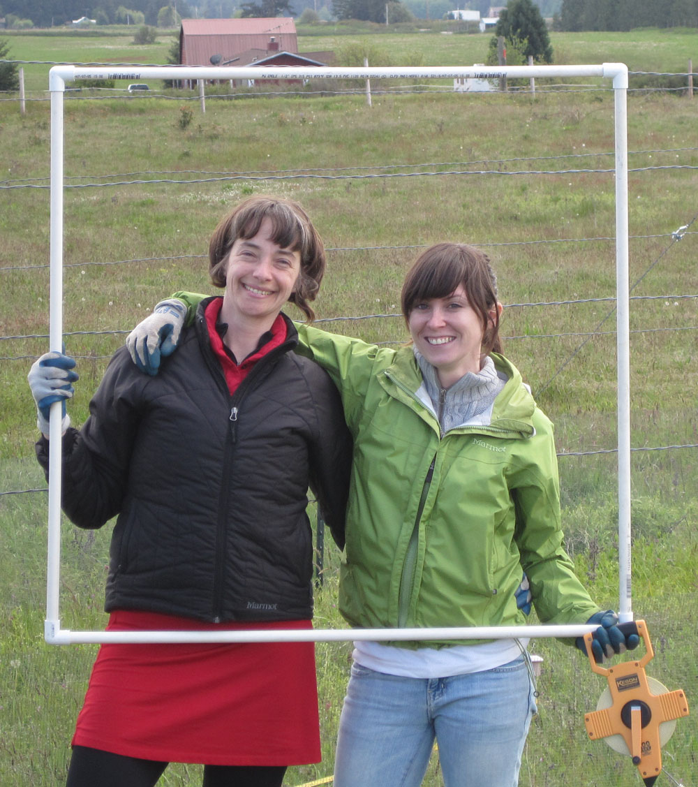 Graduate students Karen Regan, biology, and Rachel Mitchell, forest resources, hold a frame of PVC pipe that goes on the ground as a step in measuring species abundance. Credit required: University of Washington