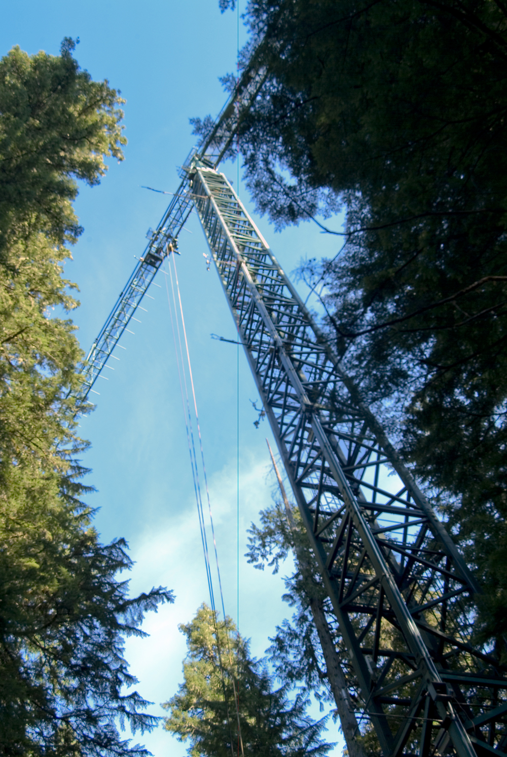 The Liebherr 550 HC crane was purchased used and erected in 1995. It had previously been used at construction sites.