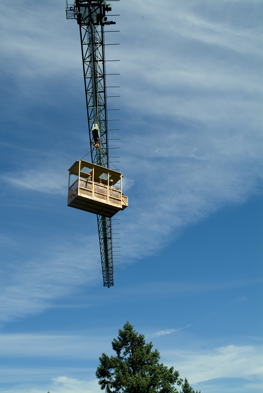 Scientists in the gondola were able to reach the canopy in a 560-foot circle of the forests.