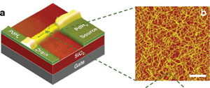 On the left is a colored photo of the UW device overlaid on a graphic of the other components. On the right is a magnified image of the chitosan fibers. The white scale bar is 200 nanometers.