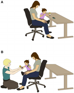 In the preference phase (A), the infant chose one of the two toys - her preferred toy. In the request phase (B), an unfamiliar experimenter asked for a toy while looking directly at the infant. Here, the infant shares her preferred toy, 'altruistic sharing.'