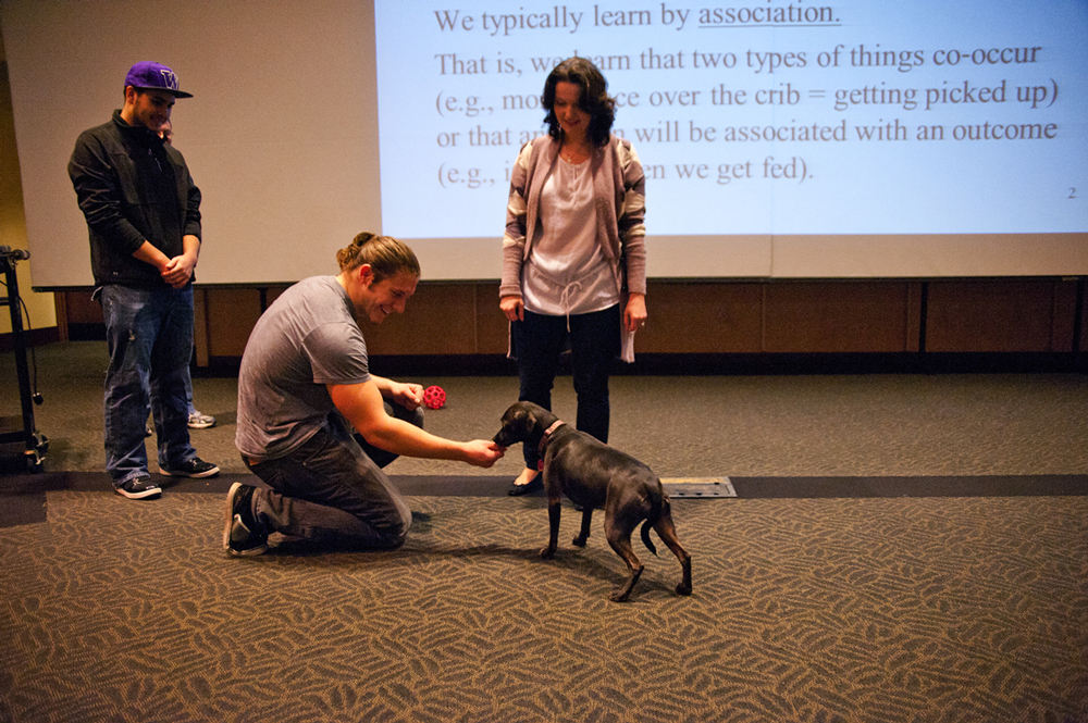 Chantel Prat works with psychology 101 students to help dog, Cocco, be less timid around strangers.