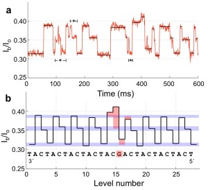 Electrical signal from the sequence of a DNA strand.