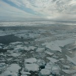 a photo of Arctic sea ice as seen from an ice breaker