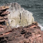 The cover of "The Rocks Don't Lie: A Geologist Investigates Noah's Flood."