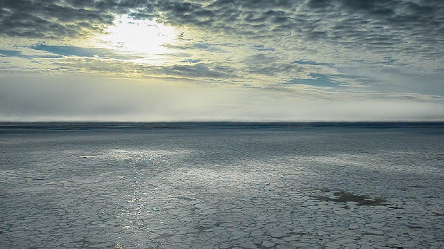 a view from an airplane of the ice pack over the Arctic with open water far in the distance.
