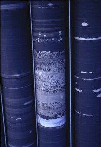 A core sample from the Mount McRae Shale formation in Australia.
